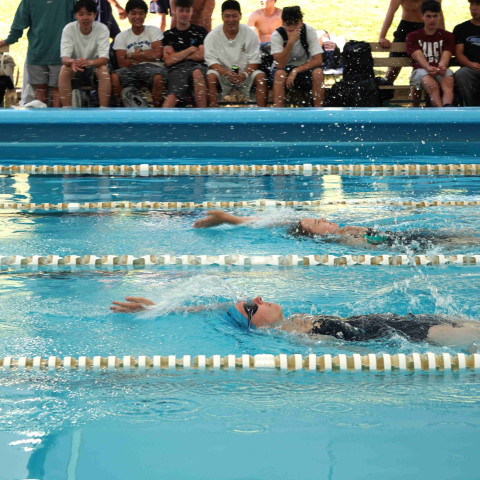 NC 2025 swimming sports 