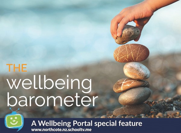 wellbeing portal - wellbeing barometer 