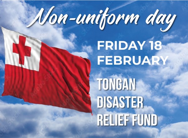 Non-uniform day for Tonga